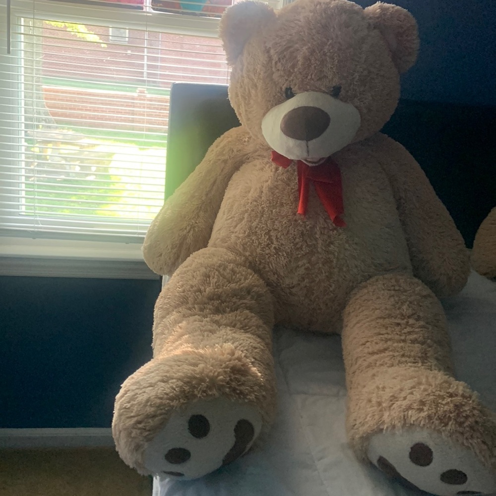 Bear